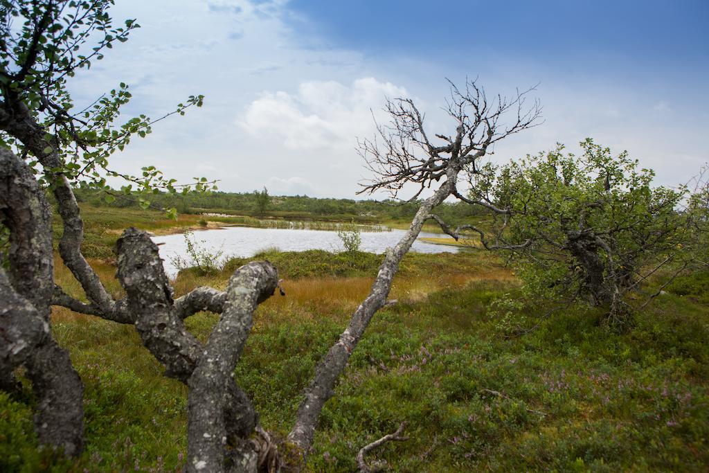 Хостел Fulufjaellsgarden Morkret Экстерьер фото